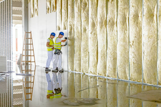 Best Residential Insulation in University Gardens, NY